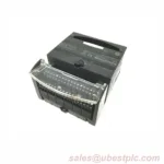 IC200ALG240