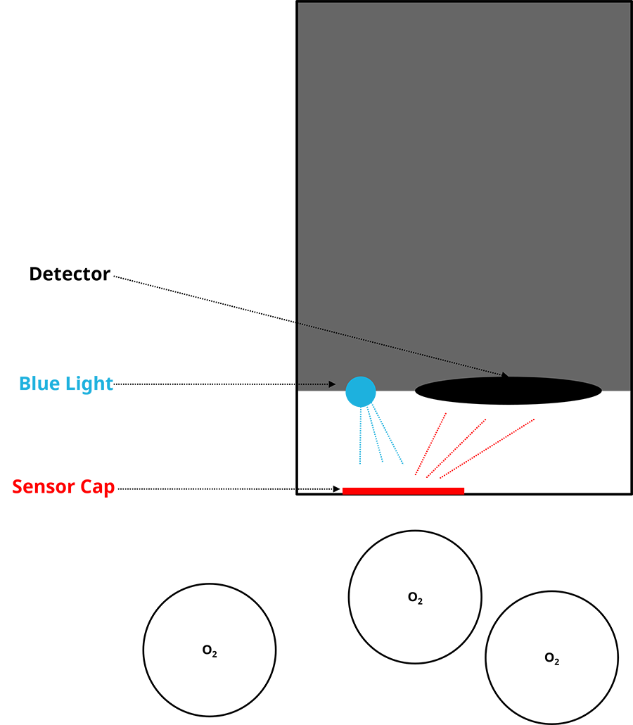 Optical sensors employ fluorescence quenching to measure DO