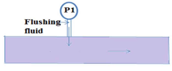 Pressure transmitter flushing system