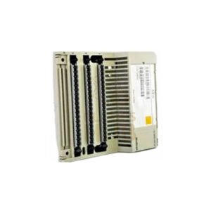 Schneider 170BDM09000 Modicon Momentum – 4 Inputs, 2 Outputs